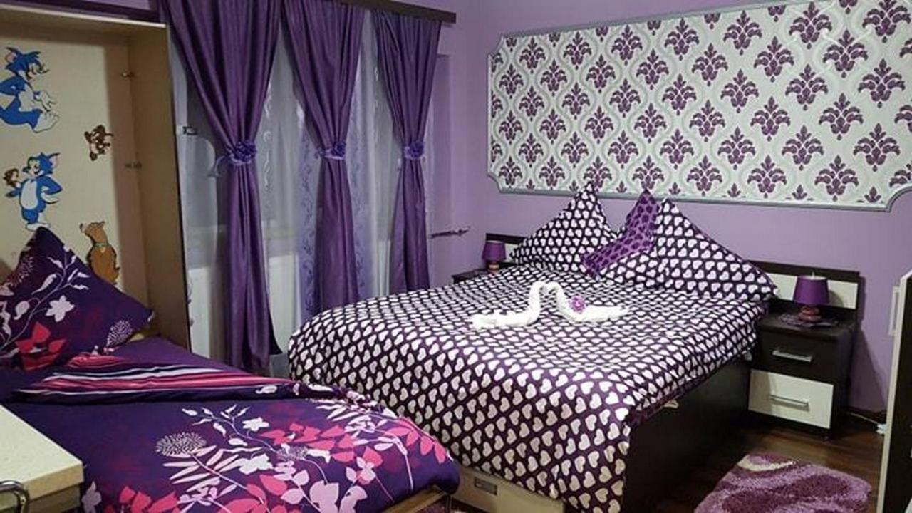 Апартаменты Garsoniera Cristina Баиле Феликс Экстерьер фото