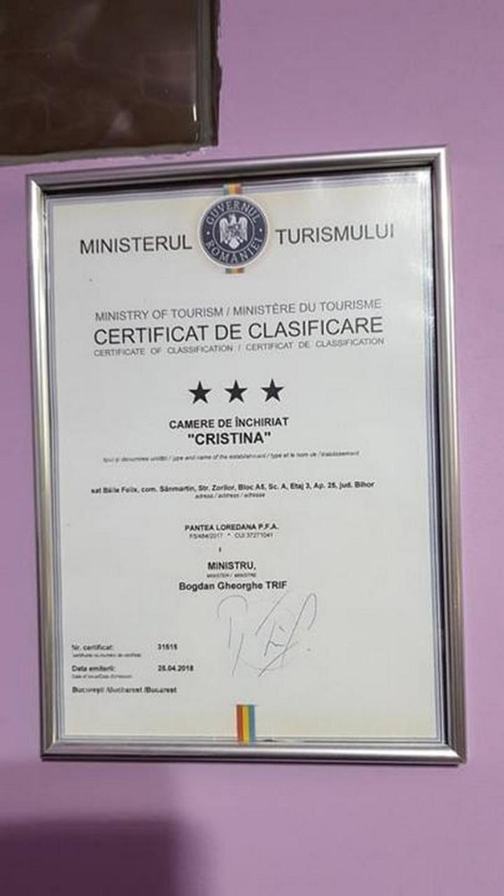 Апартаменты Garsoniera Cristina Баиле Феликс Экстерьер фото